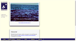 Desktop Screenshot of blackbird.com